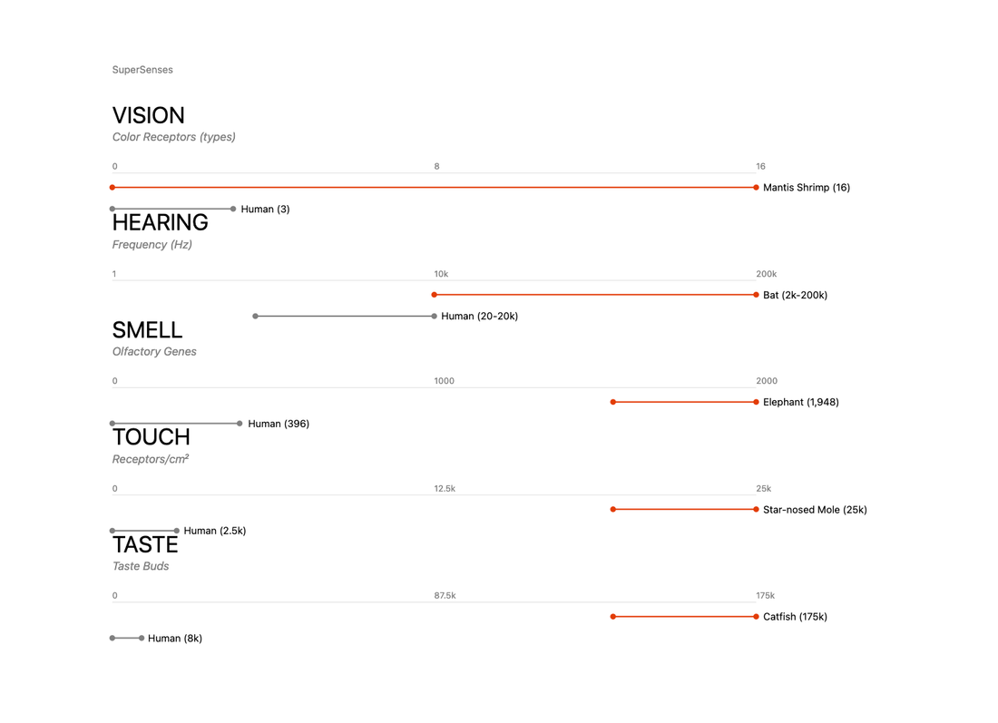 Human vs. Animal: How Your 5 Senses Stack Up
