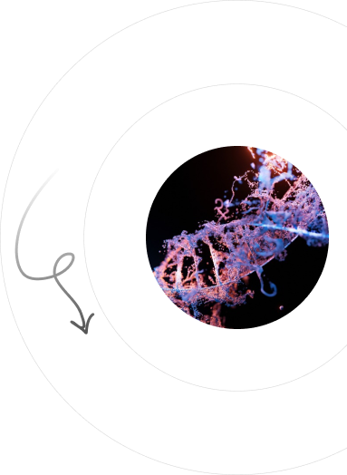 DNA Structure Design